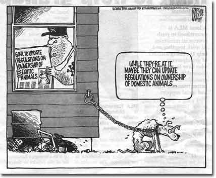Yard dog comics below | More animal comics >>