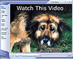 Watch This Video