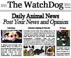 Read The Watchdog