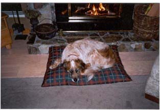 Gail, Jake in front of fireplace.jpg (17172 bytes)