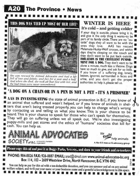 ADVERT WINTER 2000.JPG (88472 bytes)
