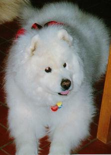 Teddy Charlesworth.jpg (10569 bytes)
