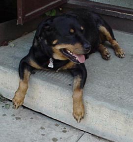 Vera's Sara lounging.jpg (20299 bytes)